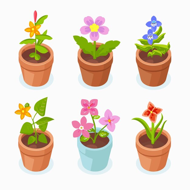 Vector illustration depicts six potted flowers colorful blooming houseplants flowerpots isometric view