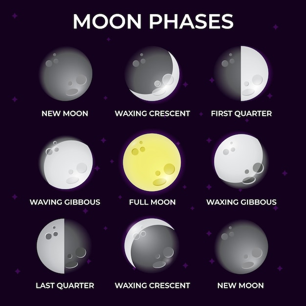 Illustration of different phases of the moon