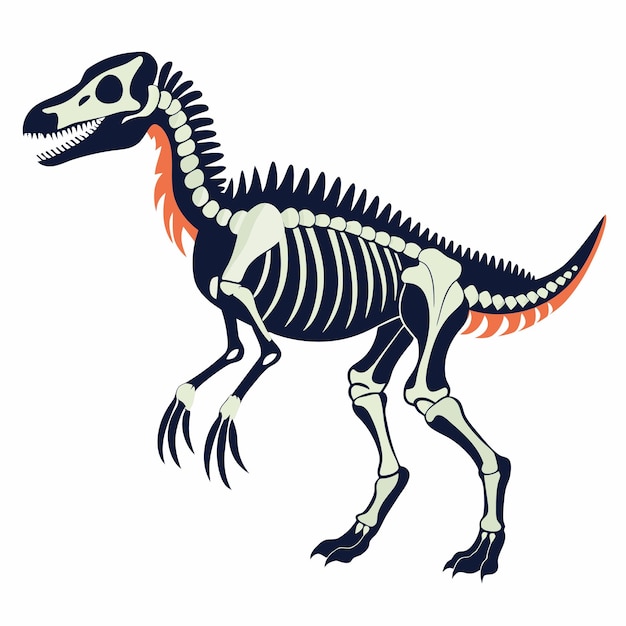 illustration of a dinosaur skeleton isolated on white background