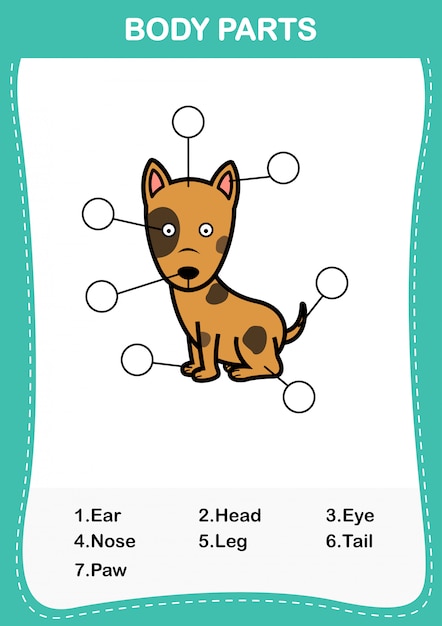 Illustration of dog vocabulary part of body,Write the correct numbers of body parts.vector