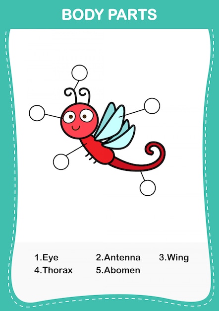 Illustration of dragon fly vocabulary part of body,Write the correct numbers of body parts.vector