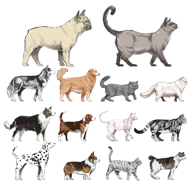 Illustration drawing style of animals collection