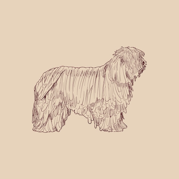 Vector illustration drawing style of dog