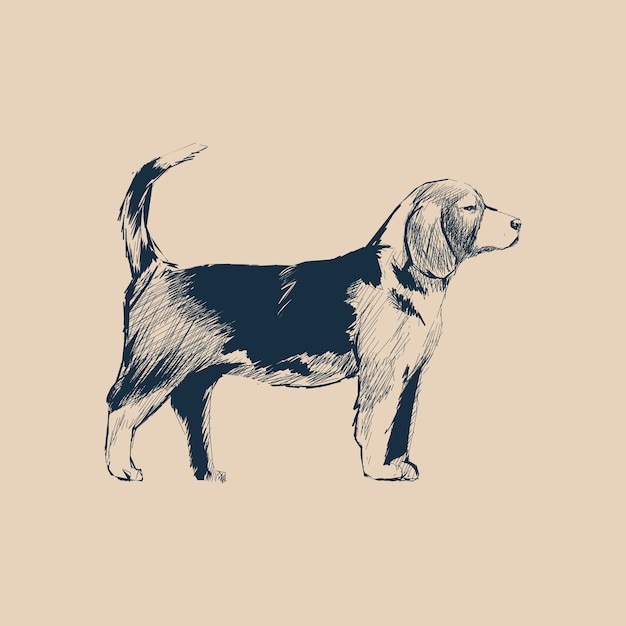 Illustration drawing style of dog