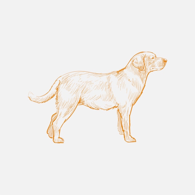 Illustration drawing style of dog