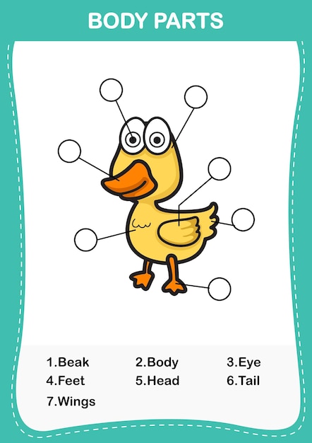 Illustration of duck vocabulary part of bodyWrite the correct numbers of body parts