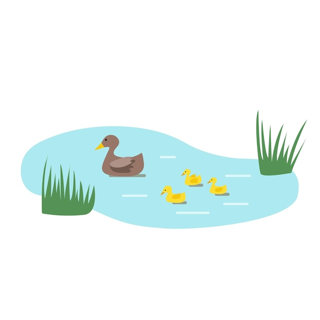 Illustration of ducks and ducklings in a lake Suitable for postcards children's books zoo ads posters about environmental protection