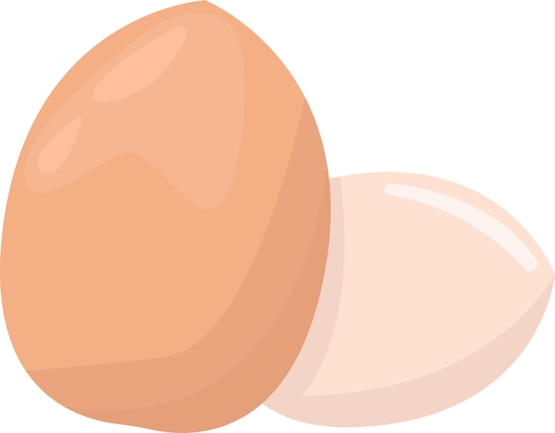 Illustration of egg