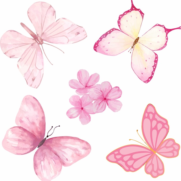 illustration of flowers and butterflies for decoration