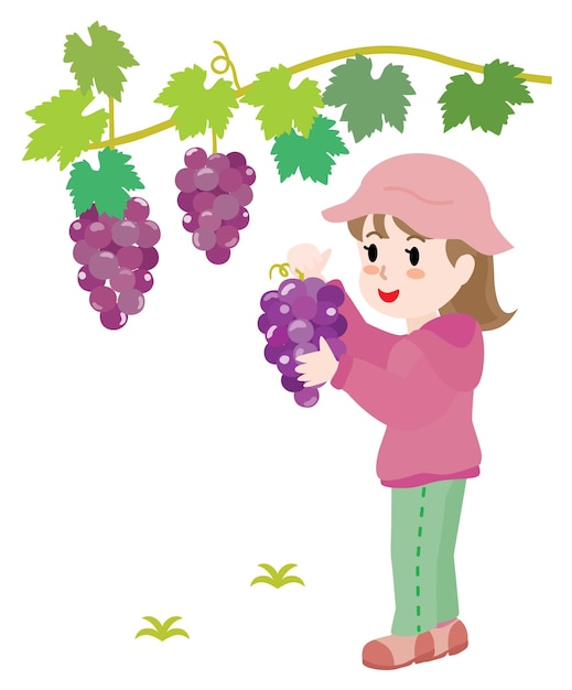 Illustration of the girl doing grape picking