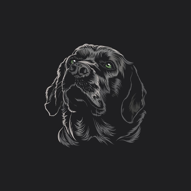 Vector illustration of a golden retriever dogs head