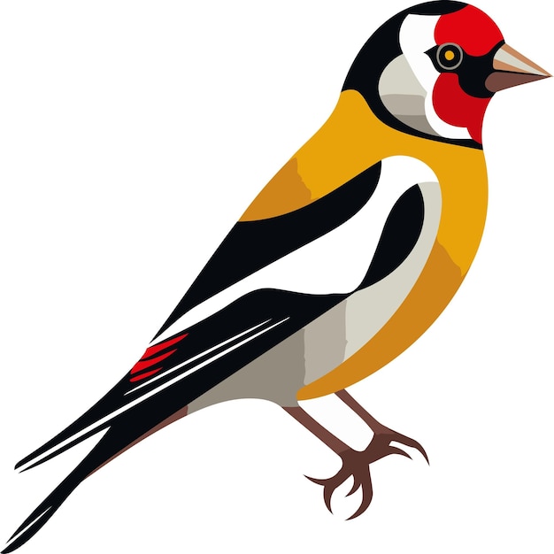 Vector illustration of a goldfinch bird