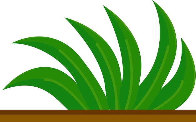 Illustration of grass