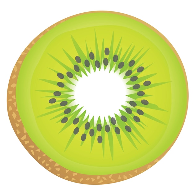 Illustration of a green kiwi fruit