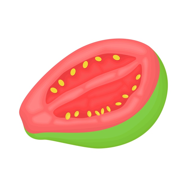 Illustration of guava