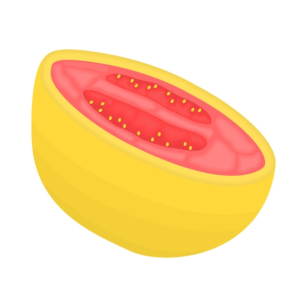 Illustration of guava