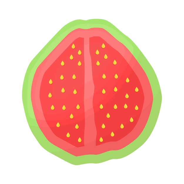 Illustration of guava