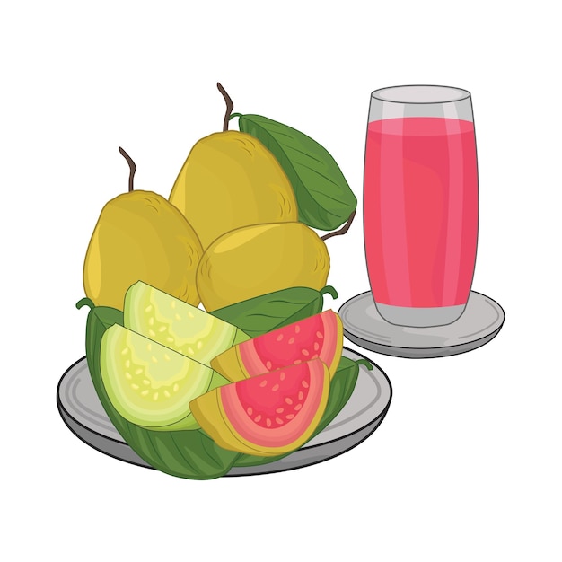 illustration of guava