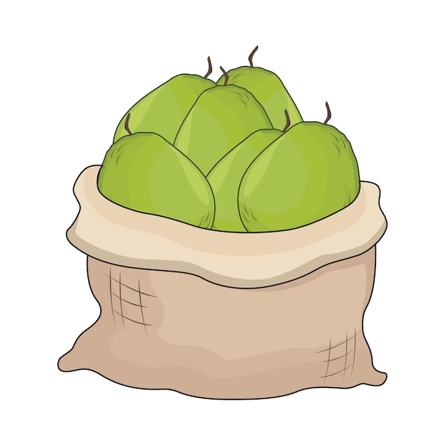 Illustration of guava