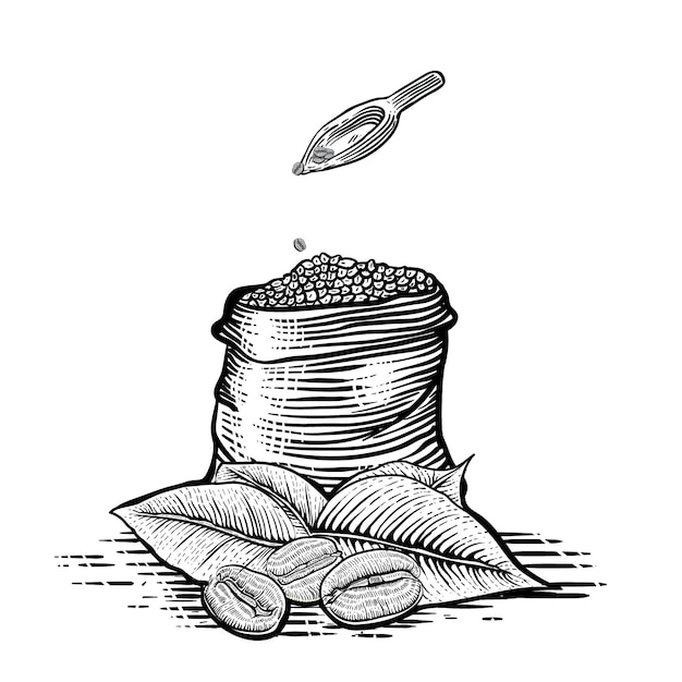 Illustration of gunny sack with coffee bean in engraving style