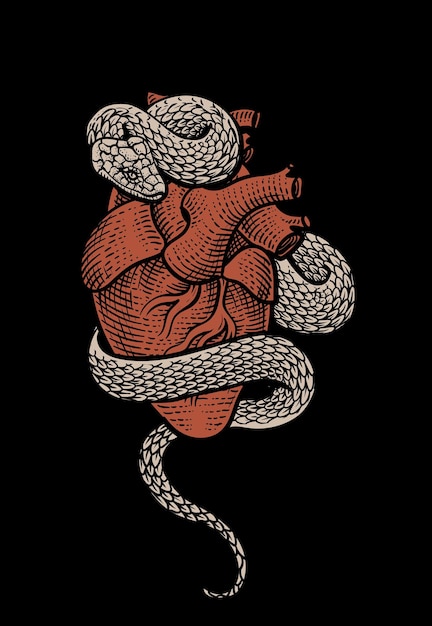 Vector illustration heart snake vector hand drawn on black background vector eps 10