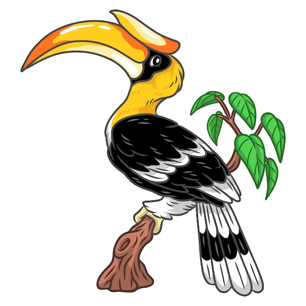 an illustration of hornbill tropical exotic bird in cartoon drawing style