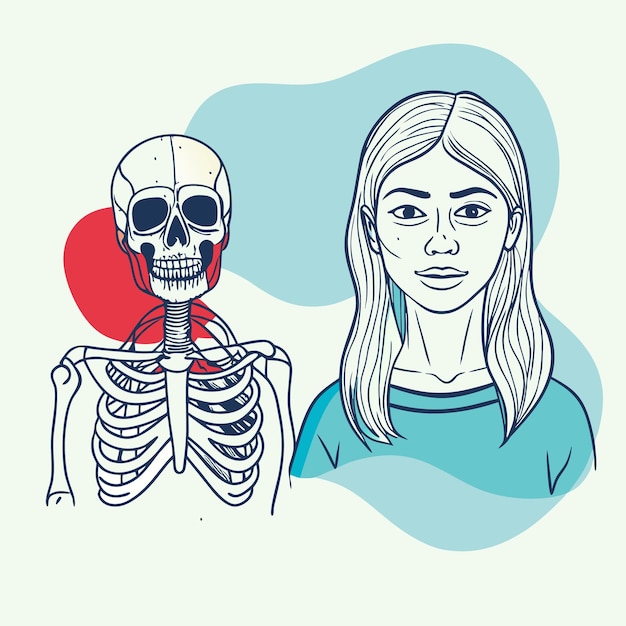 Vector illustration of a human skeleton alongside a female figure