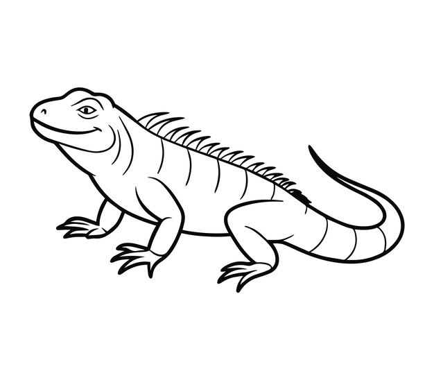 illustration of iguana