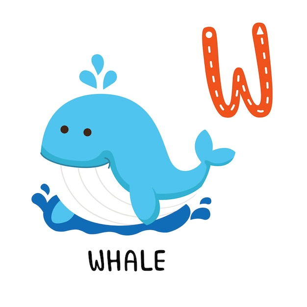 Illustration Isolated Animal Alphabet Letter WWhale