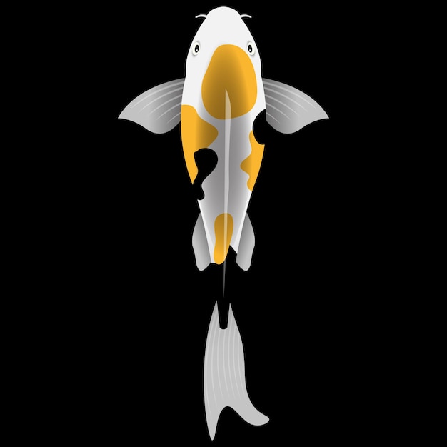 Illustration of Koi fish on black