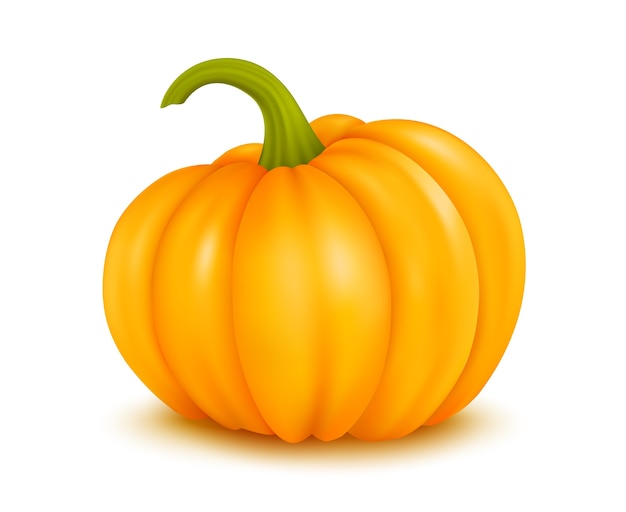  illustration of large pumpkin on white background