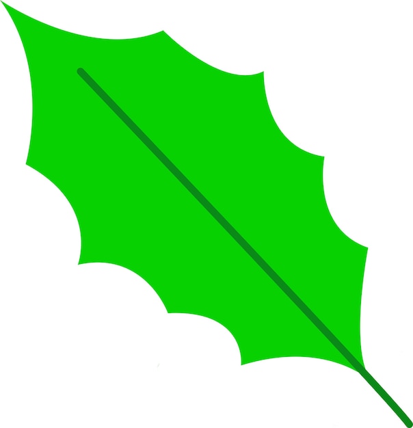 Illustration of leaf