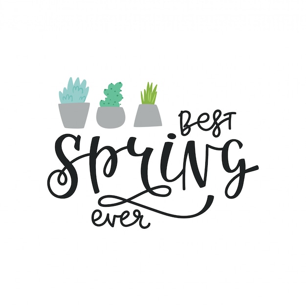 Illustration, lettering spring