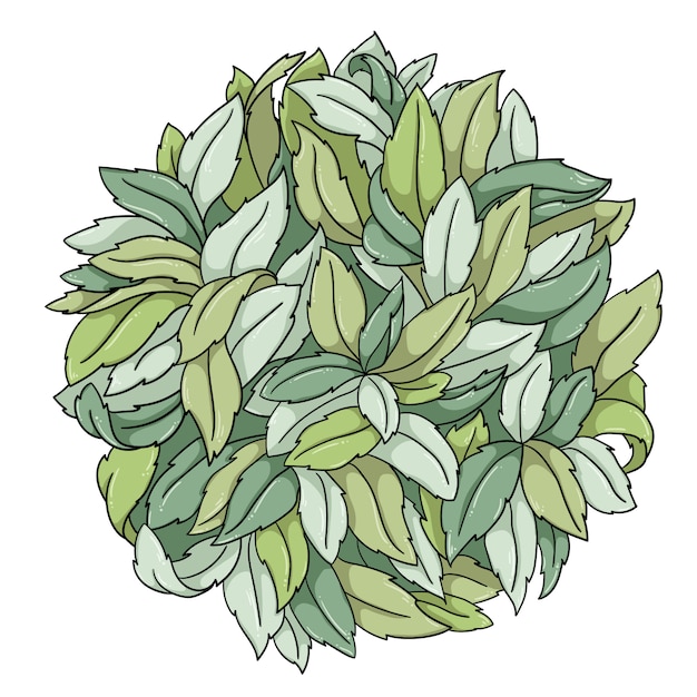  illustration of mint leaves