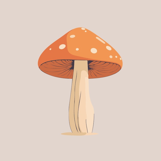 Illustration of mushroom fungus