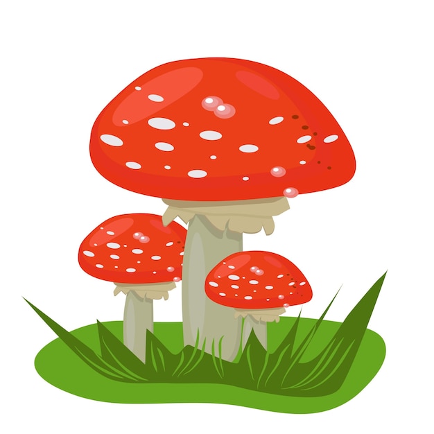 Illustration of mushrooms growing in the forest