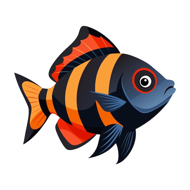 illustration of oscar fish on white