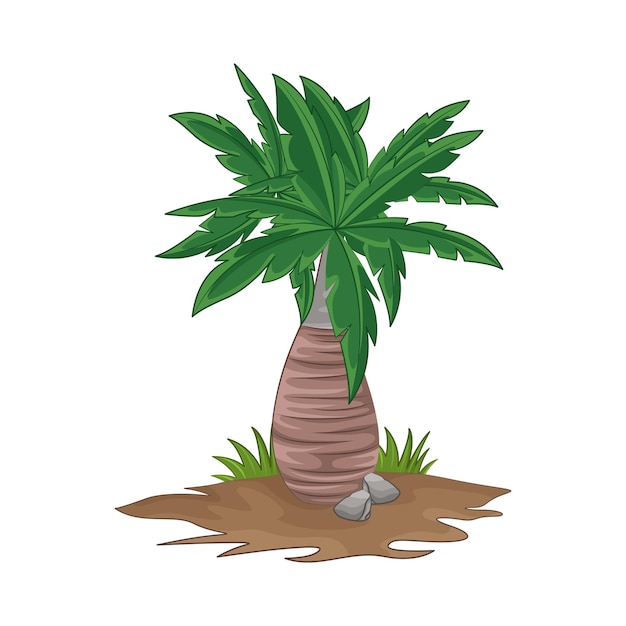 Illustration of palm