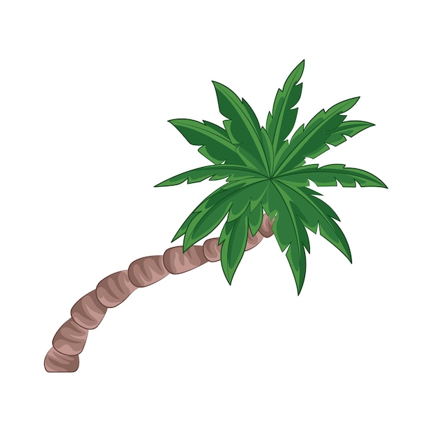 Illustration of palm