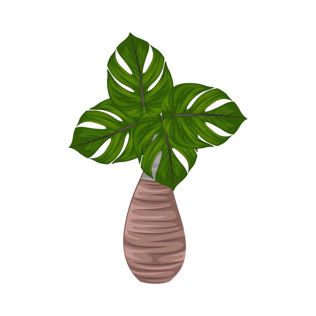 Illustration of palm