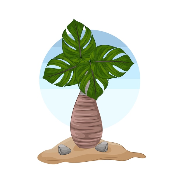 Illustration of palm