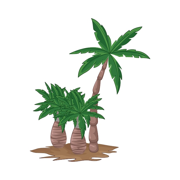 Illustration of palm