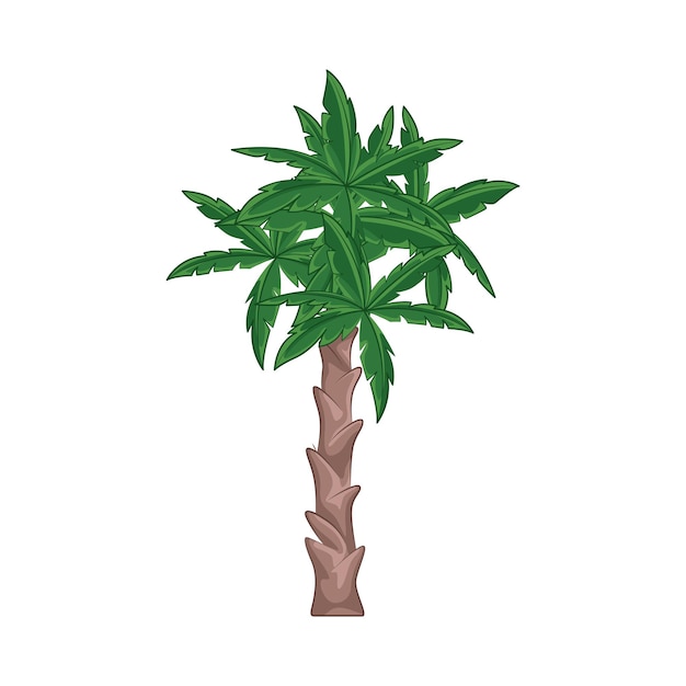 Illustration of palm