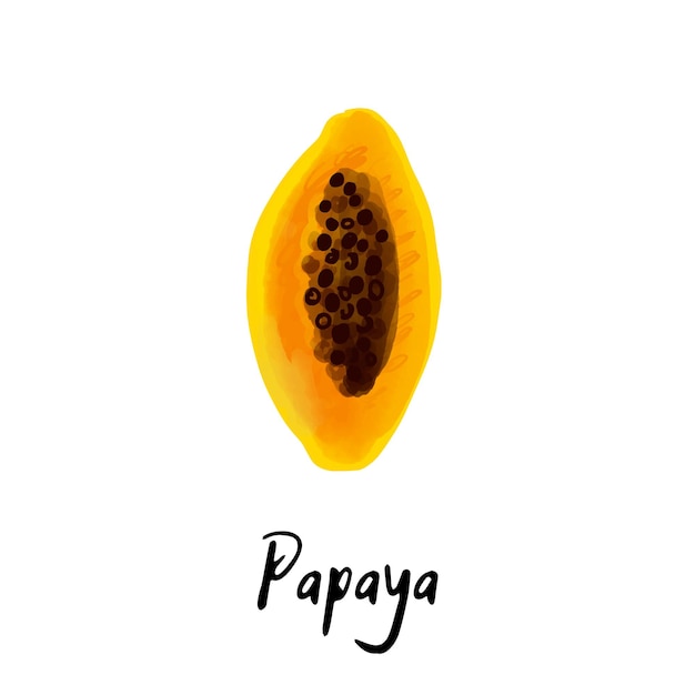 Illustration of a papaya fruit isolated on a white background