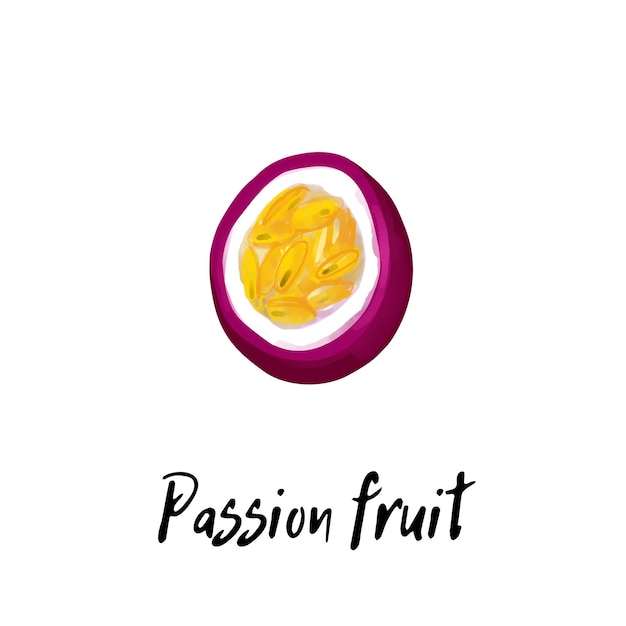 Illustration of a passion fruit isolated on a white background