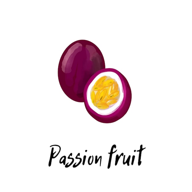 Illustration of a passion fruit isolated on a white background