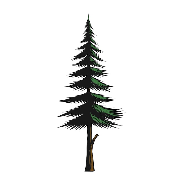 Illustration of a pine tree