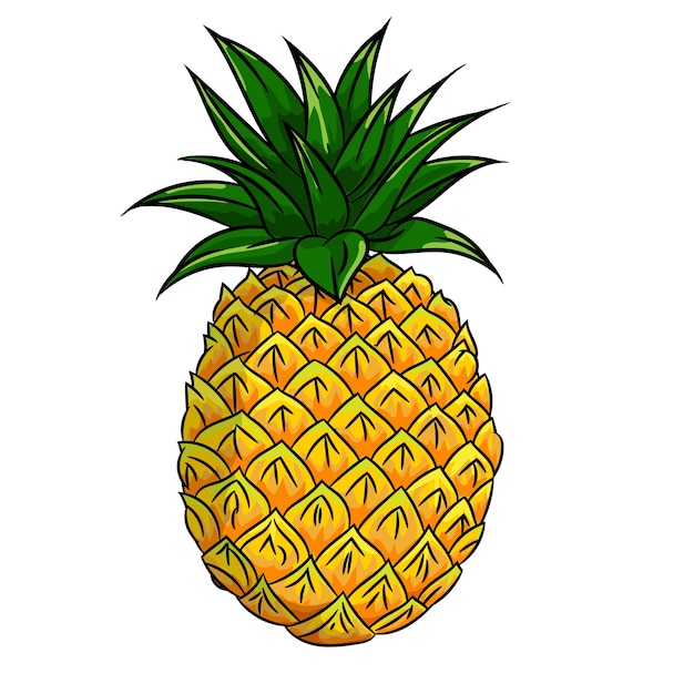 Illustration of Pineapple 