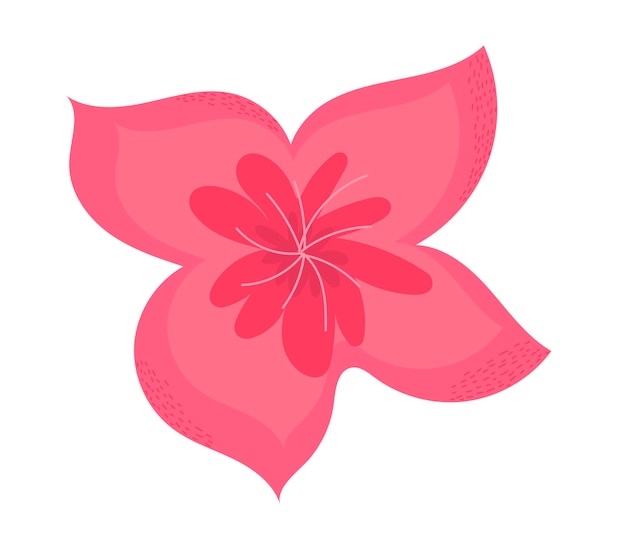 Illustration of a pink flower on a white background