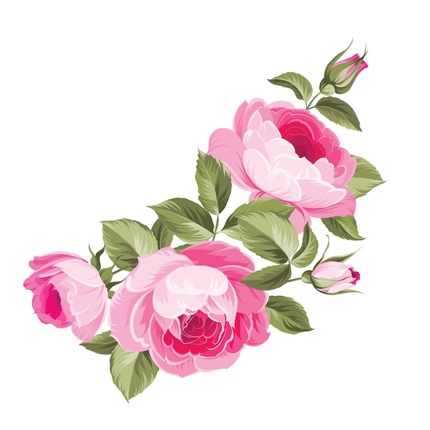 Illustration of pink flowers